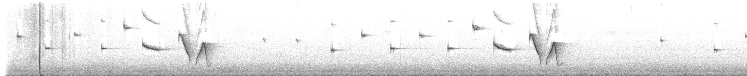 Rufous Bristlebird - ML639399391