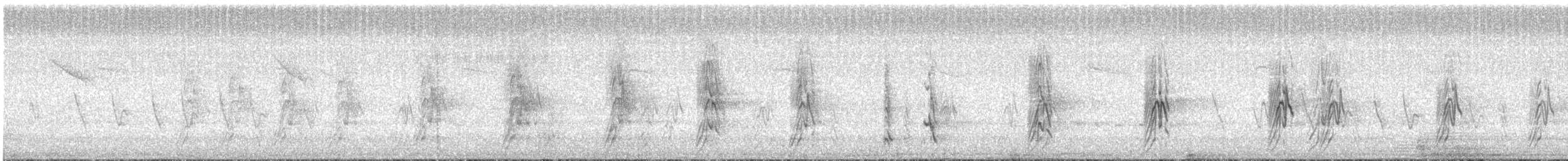 smalstripesvale - ML639399751