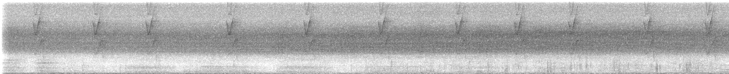 ハシナガユミハチドリ（longirostris グループ） - ML639400169