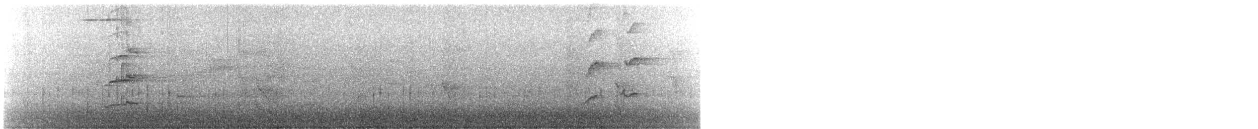 Australasian Figbird - ML639401037