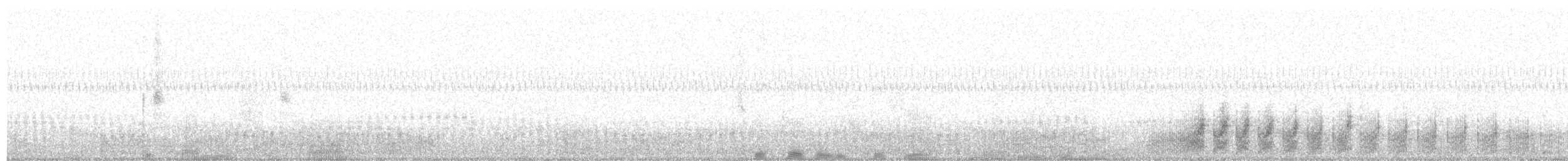 dvergrikse - ML639401960