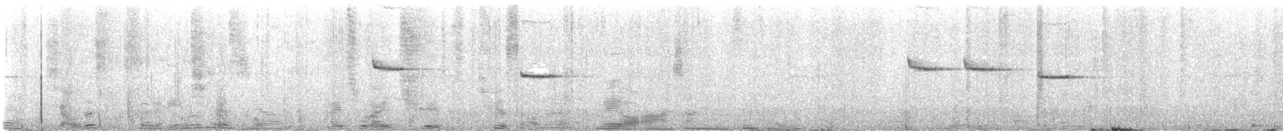 タカサゴミソサザイ - ML639403530