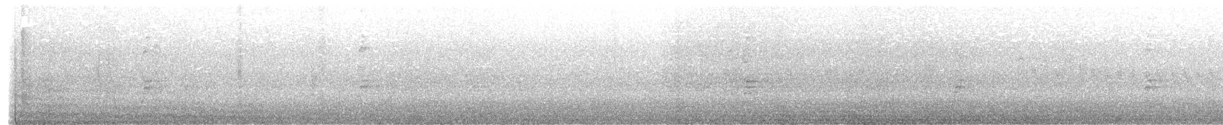 Beach Thick-knee - ML639404066