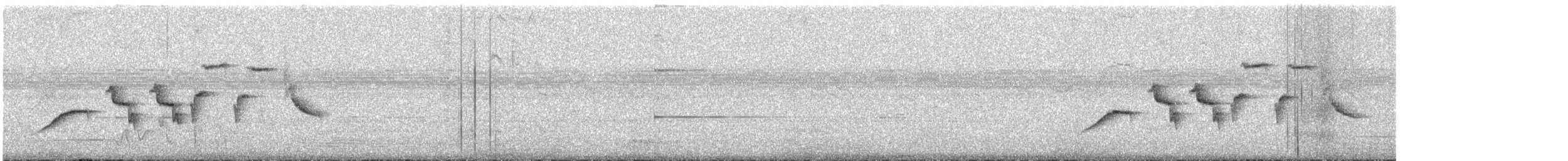 Bruant gris - ML639405228