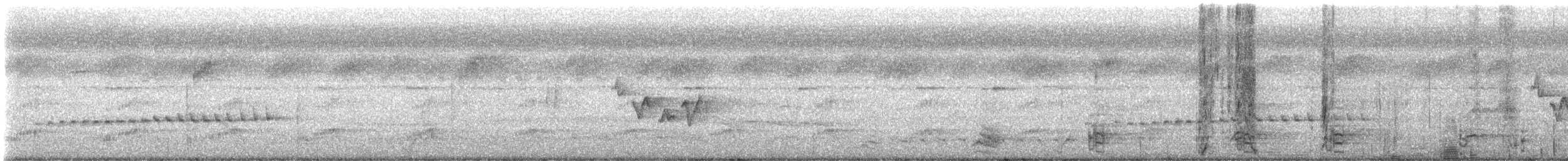 Long-billed Gnatwren - ML639405798