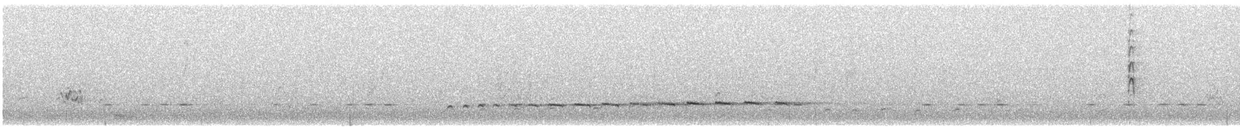 Pallid Cuckoo - ML639405843