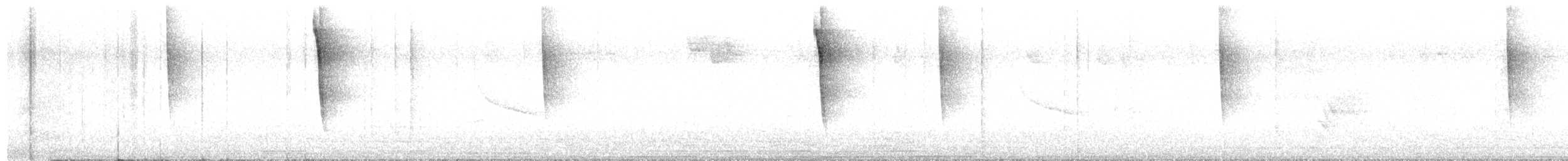 Short-billed Dowitcher - ML639406649
