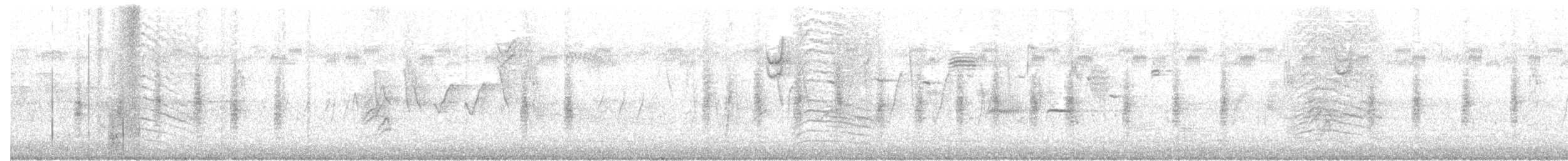 Northern House Wren - ML63940701