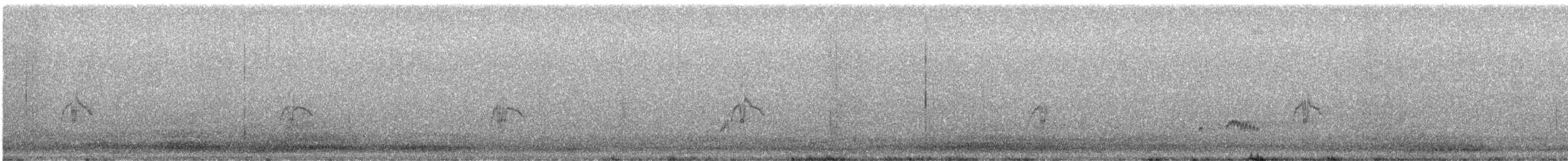 Moucherolle gris - ML639407432