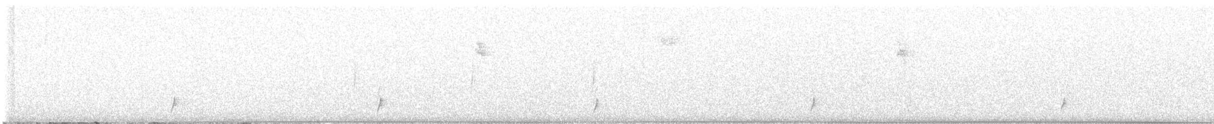 Swainson's Thrush - ML639408672