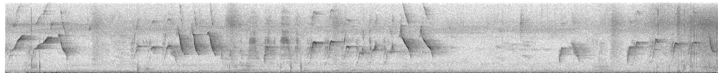 African Pied Wagtail - ML639412023