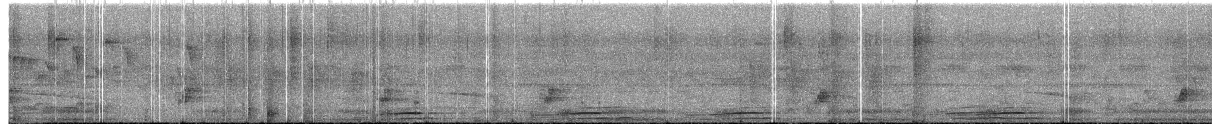 Gray Crowned-Crane - ML639412172