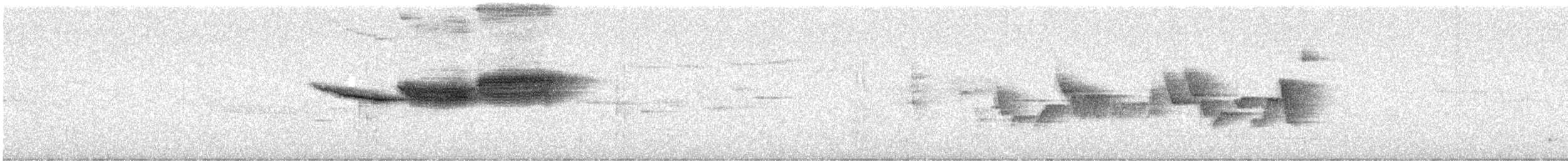 Black-throated Blue Warbler - ML639413517