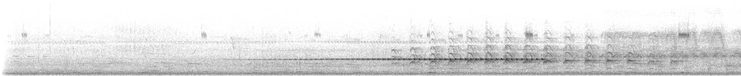 Spotted Nothura - ML639416844
