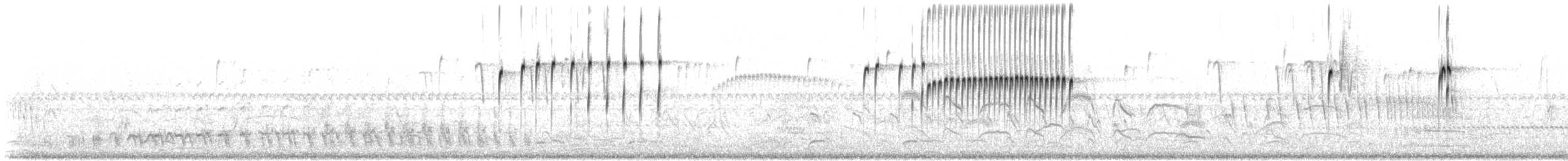 kvegtyrann - ML639416913