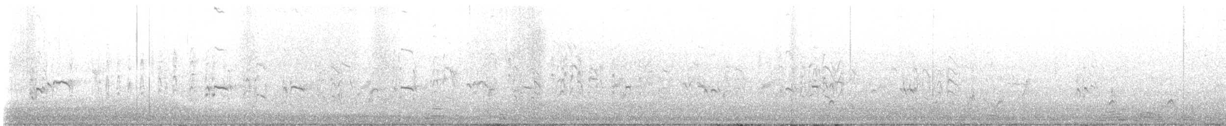 Txenadatxo antillarra - ML639416928
