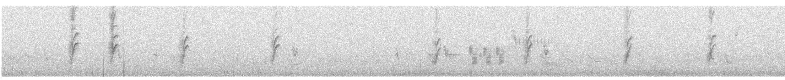 Bewick's Wren - ML639417537
