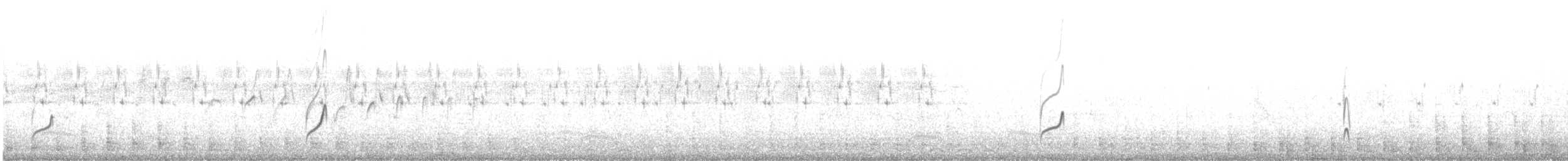 東方環頸鴴(alexandrinus/nihonensis) - ML639417682