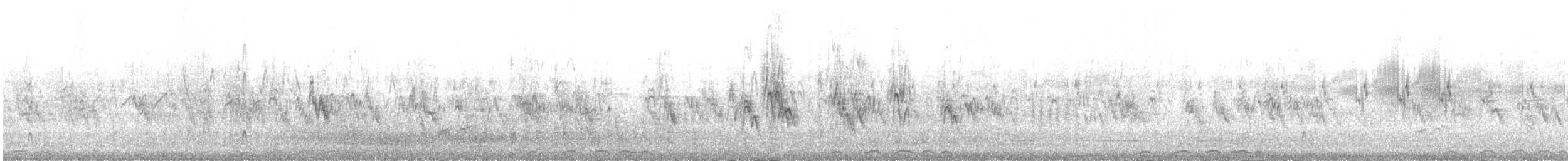 東方環頸鴴(alexandrinus/nihonensis) - ML639417691