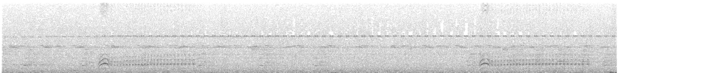 Black-crowned Antshrike - ML639418840