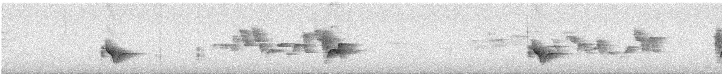 Blue-headed Vireo - ML639418961