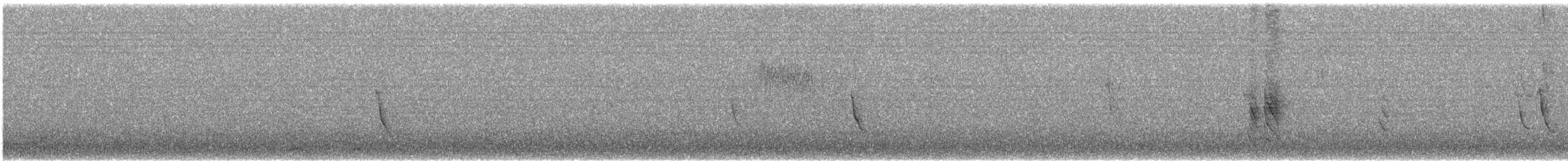 Austral Blackbird - ML639421349