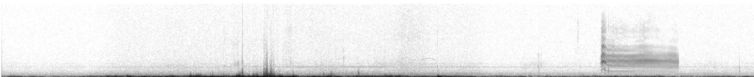 Sandwich Tern - ML639421716