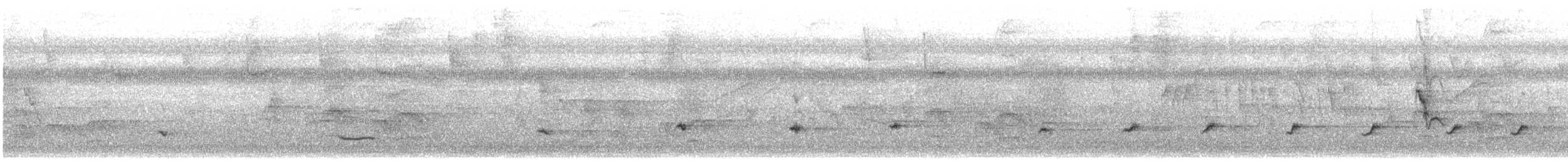 Black-striped Sparrow - ML639424557