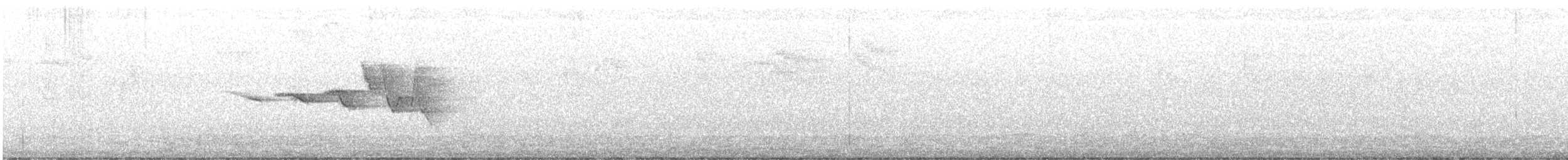 Paruline de Swainson - ML639424815