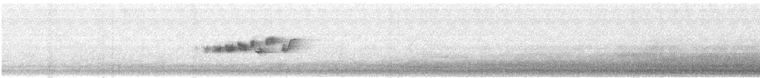 Paruline grise - ML639426466