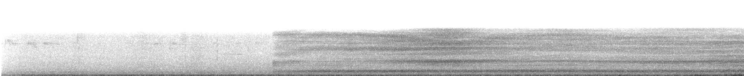 American Barn Owl - ML639430161