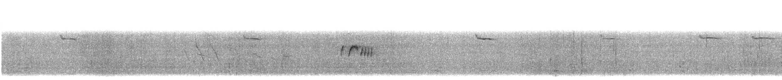 Gray Kingbird - ML639430601