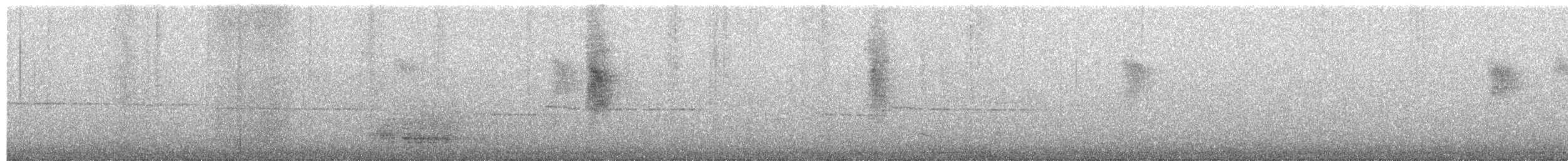 Mohoua à tête blanche - ML639431272