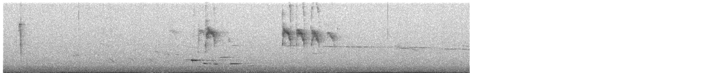 New Zealand Bellbird - ML639431326
