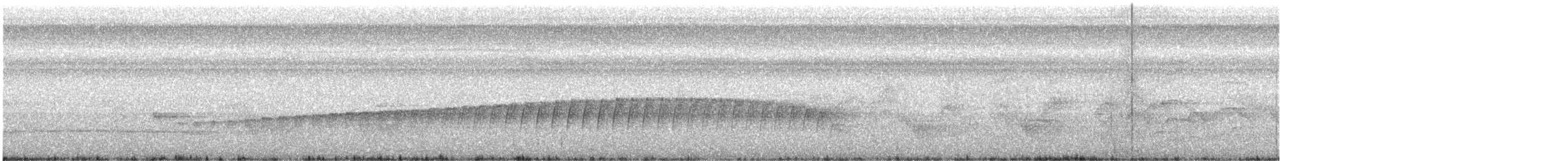 Silvered Antbird - ML639431459
