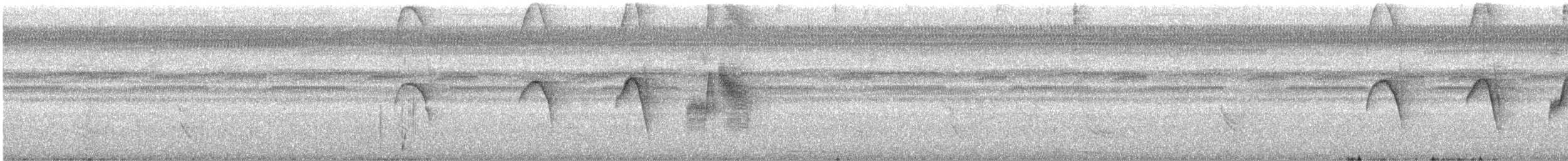 Sulphury Flycatcher - ML639431758