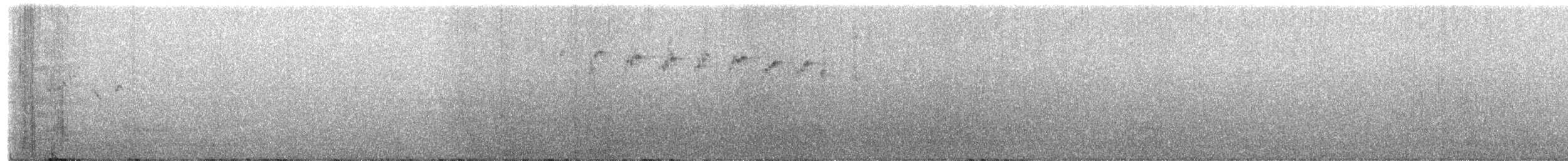 Kelp Gull - ML639432218
