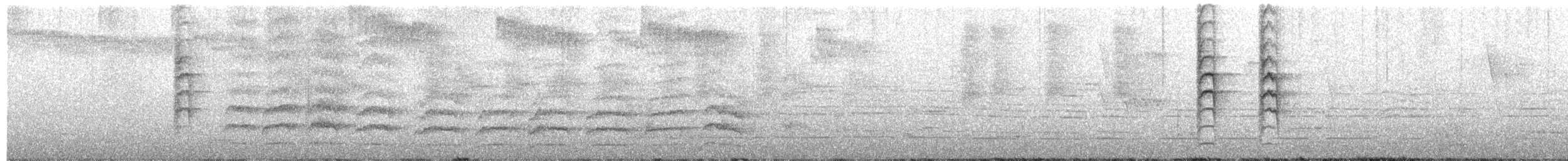 New Zealand Fantail - ML639432397