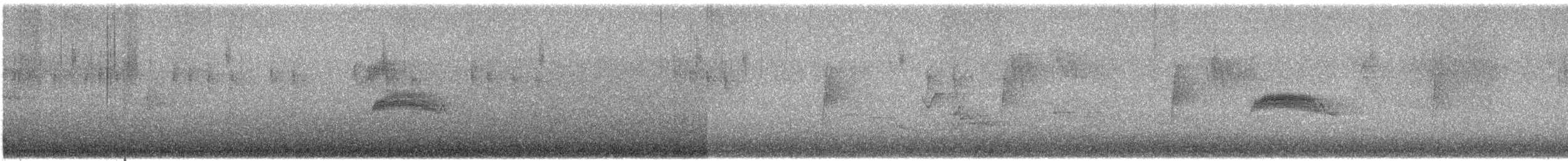 Western Wood-Pewee - ML639432409