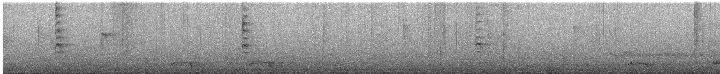 New Zealand Fantail - ML639433268