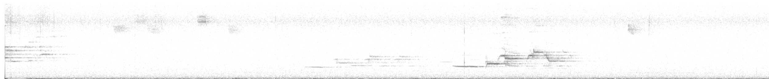 Hermit Thrush - ML639435356