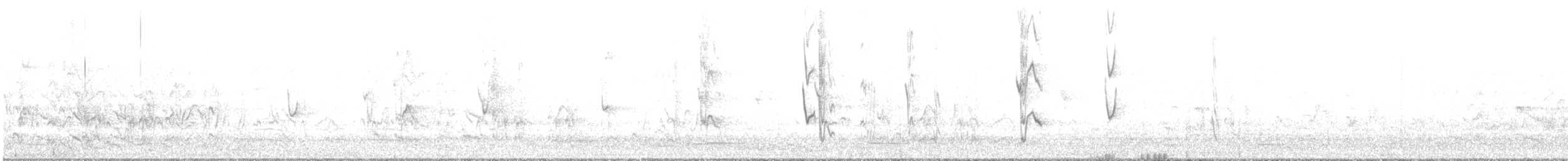 Red-rumped Parrot - ML639435451