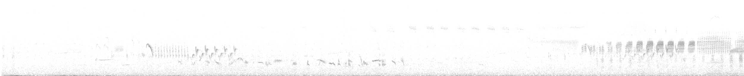 Sage Thrasher - ML639435786