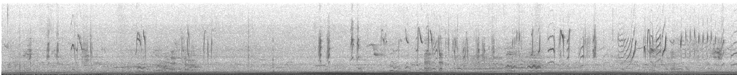 Welcome Swallow - ML639437195