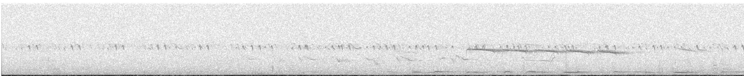 Northern Beardless-Tyrannulet - ML639442591