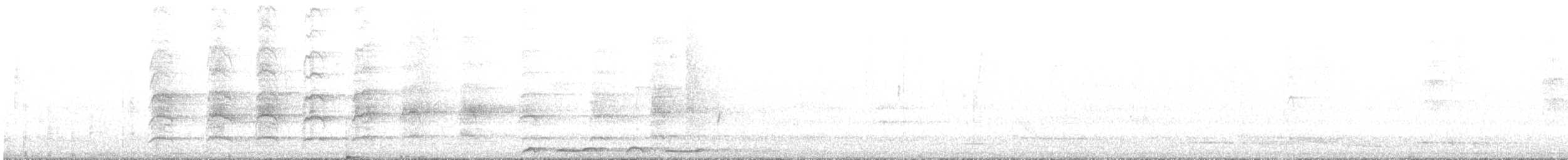 Spangled Drongo - ML639443166