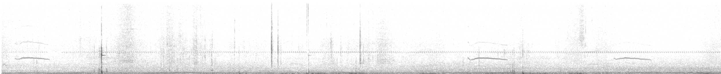 Say's Phoebe - ML639443812