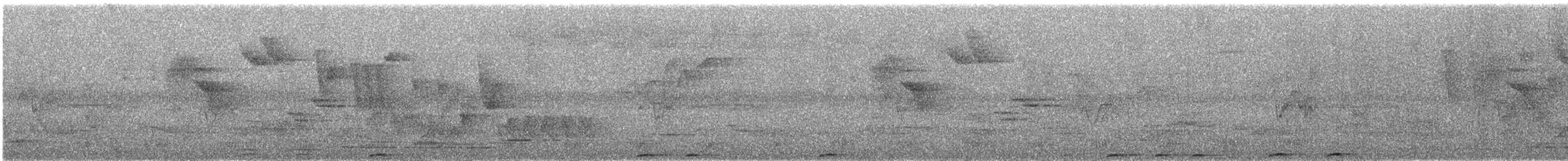 diademmotmot - ML639444425