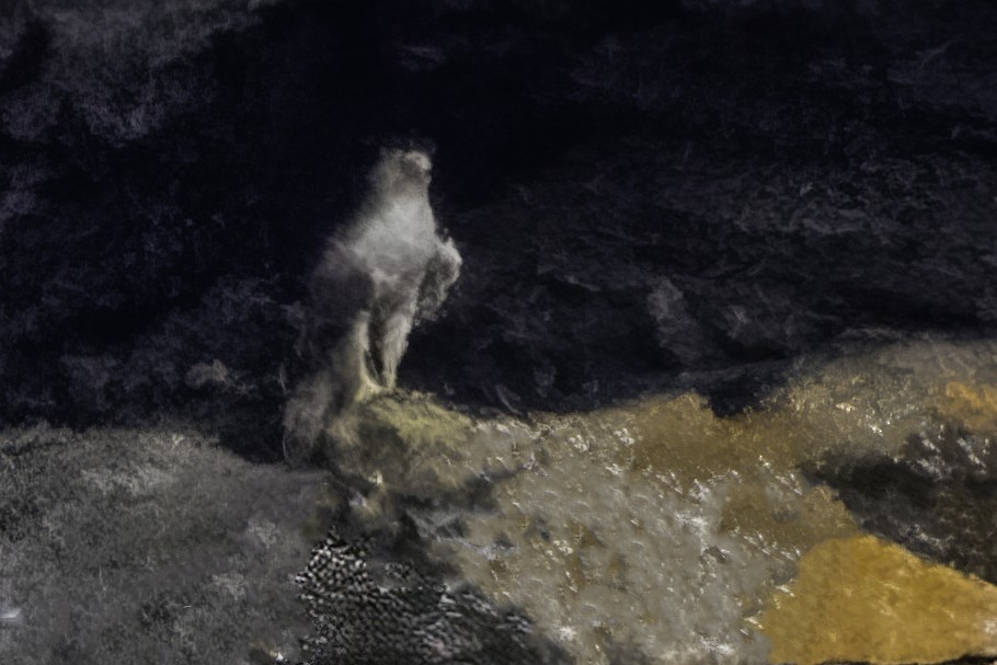 Gyrfalcon - ML639444430