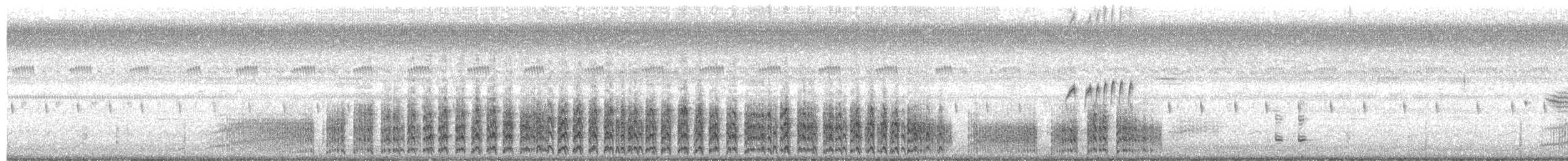 Black Rail - ML639453829